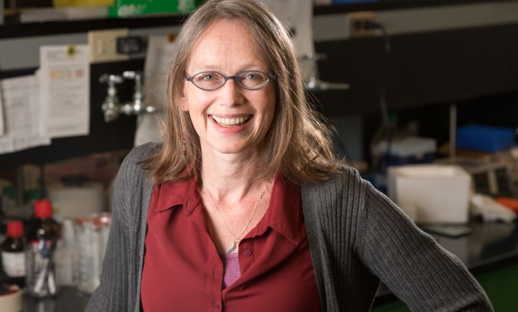 Dr. Rozalyn Anderson smiling in her lab.