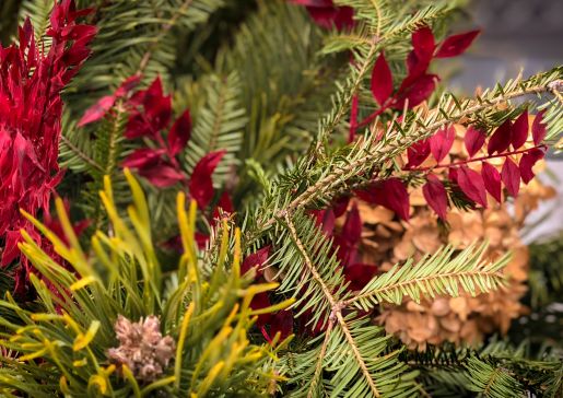 Holiday Greetings