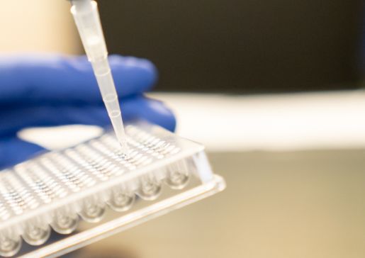 lab picture