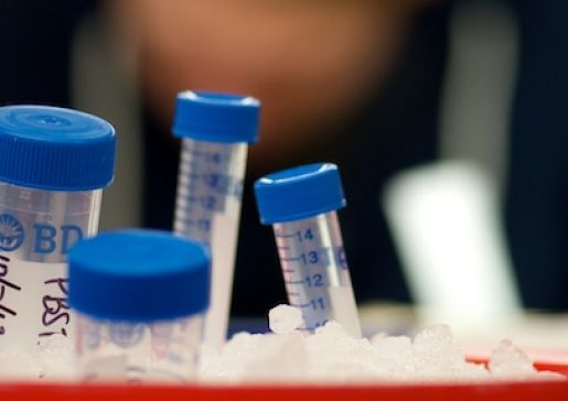 File photo of lab
