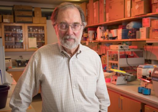 William Busse, MD
